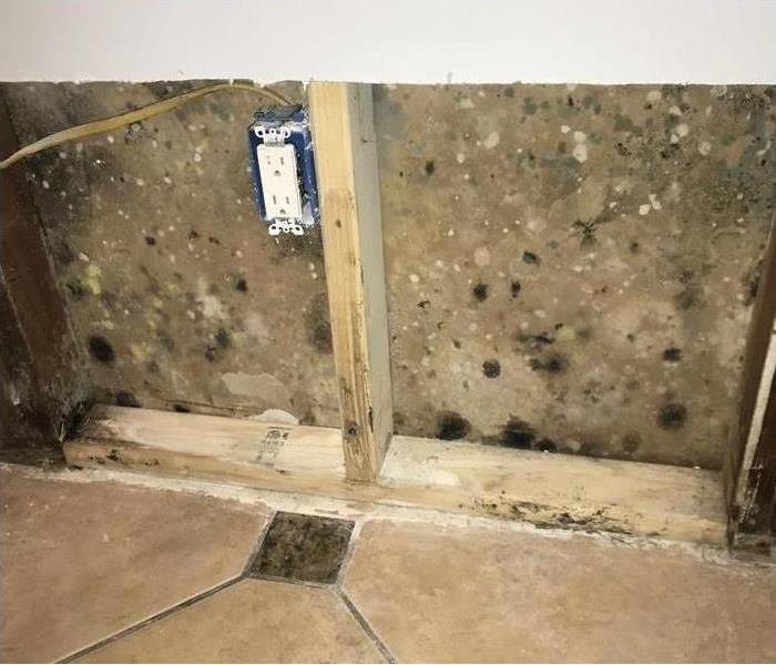 Mold contamination in the walls of Westminster Home 