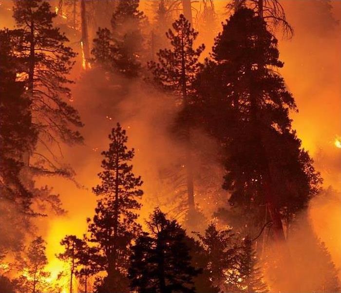 wild fires in California 