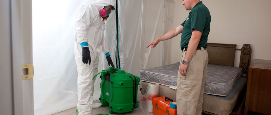 Westminster, CA mold removal process